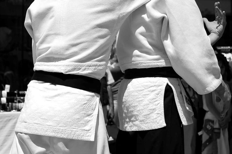 Judo Image